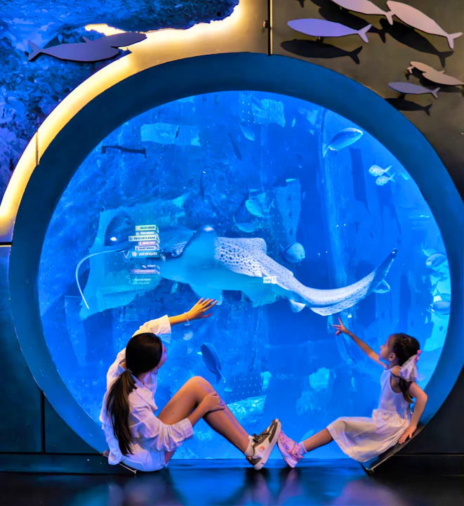 Aquaria Phuket Category